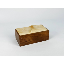 Mitred Boxes with David Lim and Nicholas Elliott - 25th and 26th of November 2023