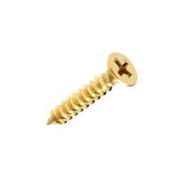 Brass Plated Flat Head Screws