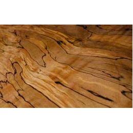 623 - Spalted Sassafras