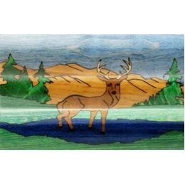 Kallenshaan - Deer in the Woods - Sierra