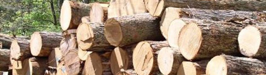 Timbers for woodworking