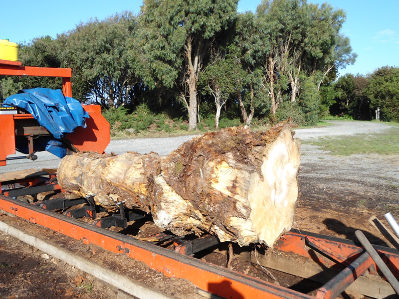 Birds eye Huon Log