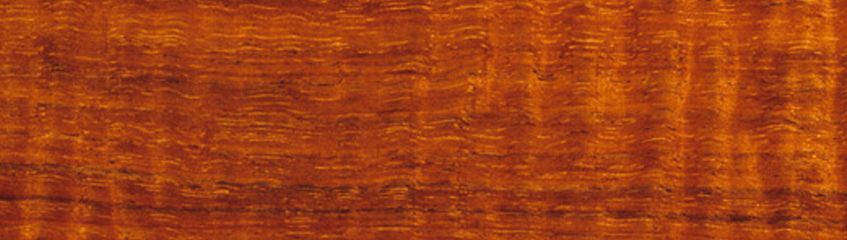 Timber Profile: Tasmanian Blackwood